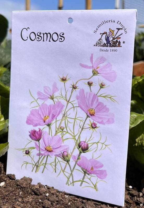 Semillas De Flores Cosmos