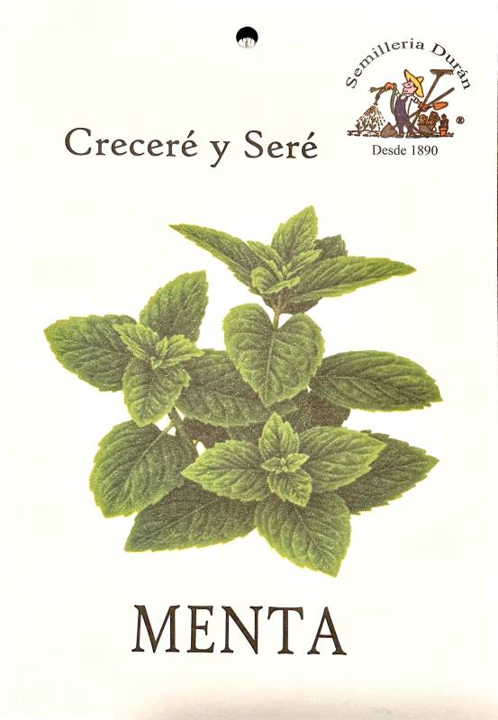 Semillas De Menta Huerta