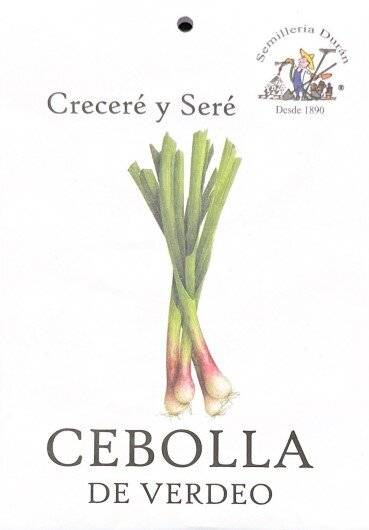 Semillas De Cebolla De Verdeo Huerta