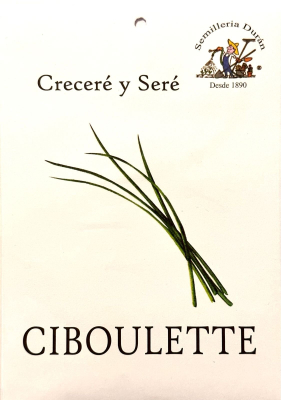 Semillas De Ciboulette Huerta