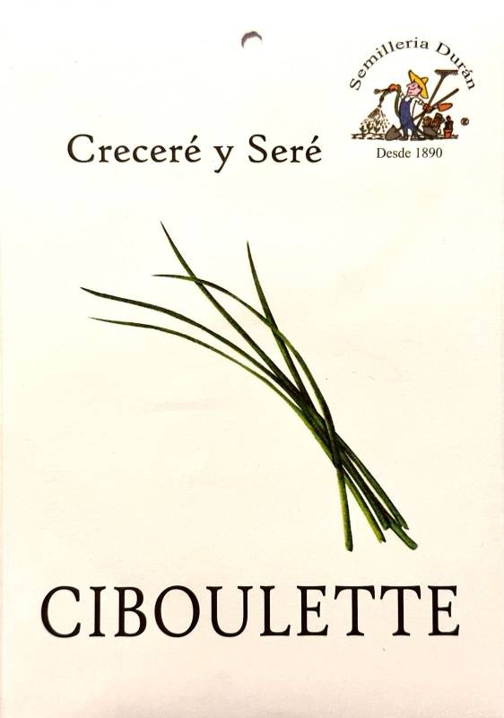 Semillas De Ciboulette Huerta