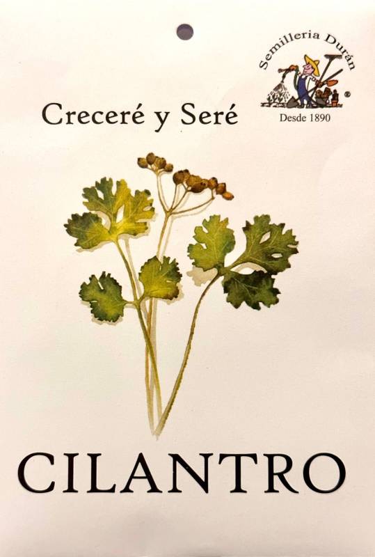 Semillas De Cilantro Huerta