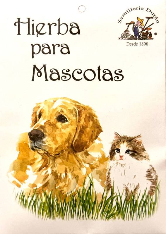 1688954327629.jpg