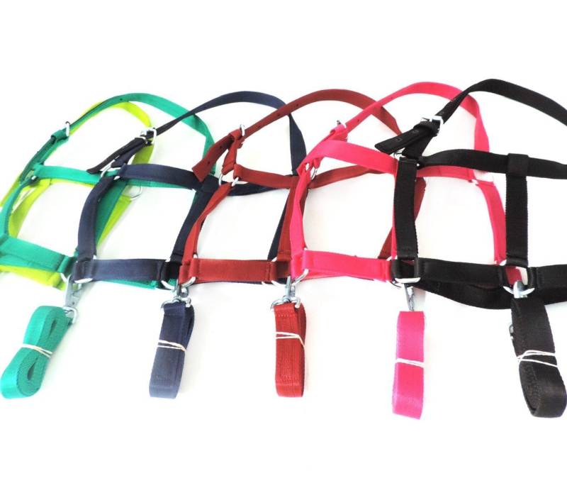 Bozal De Nylon Con Cabestro Para Caballo Adulto