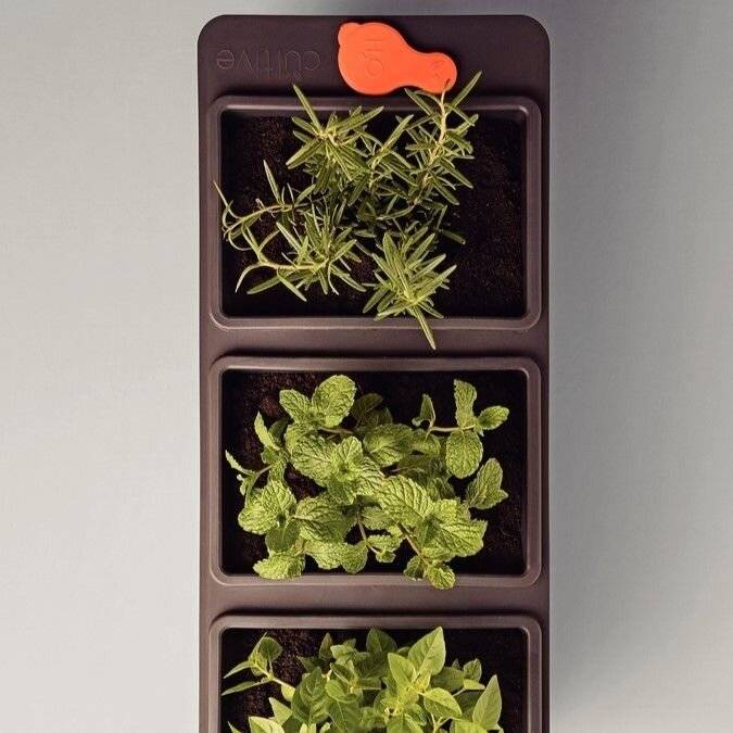 Maceta Triple Con Autorriego Rectangular 12 Lts- Tramontina