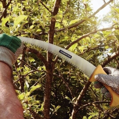 Serrucho Profesional De Poda Mango Madera - Tramontina
