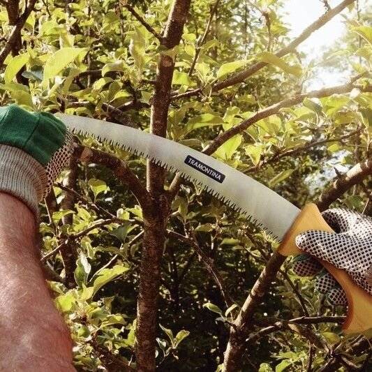 Serrucho Profesional De Poda Mango Madera - Tramontina