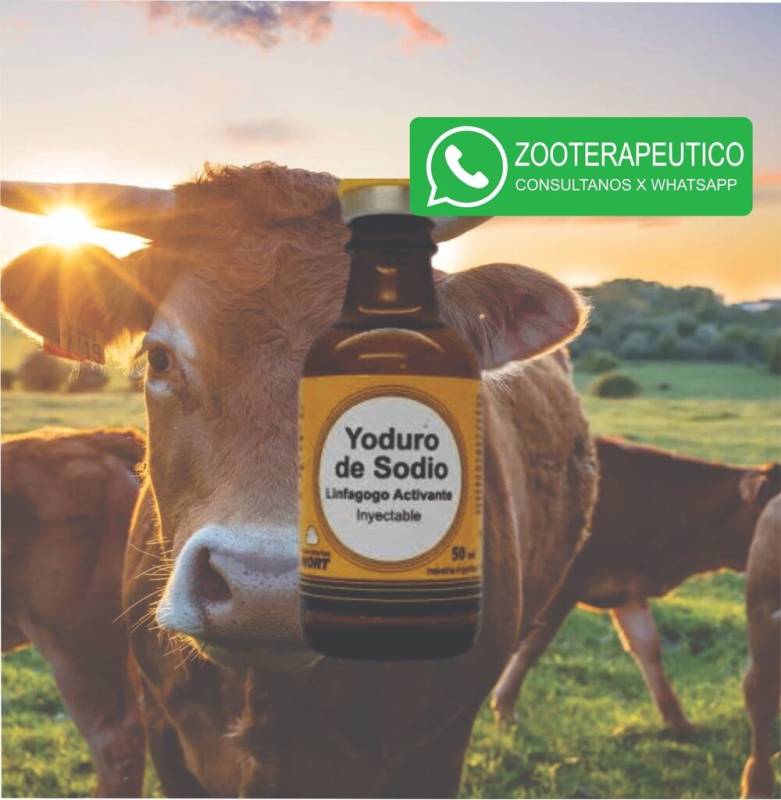 Yoduro De Sodio 60% X50Ml. Nort
