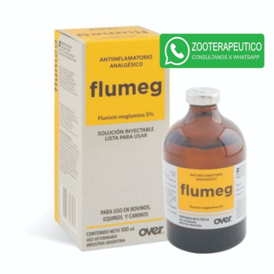 Flumeg Iny X 100Ml - Over