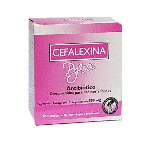 Cefalexina Pyo 500 X 10 Comprimidos - Idv