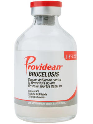 Providean Brucelosis Brucella Tecnovax X 12 Dosis - Tecnovax