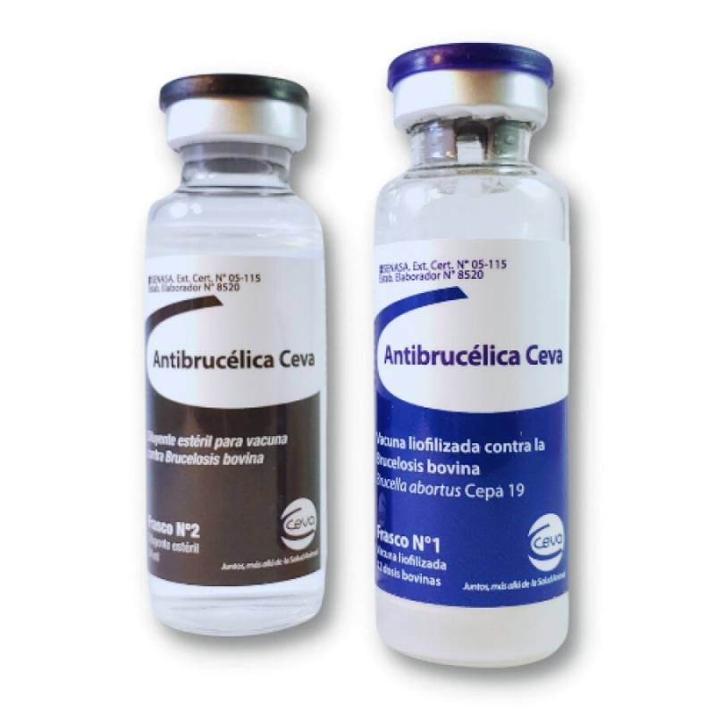 Brucelosis 12D Ceva - Zoovet