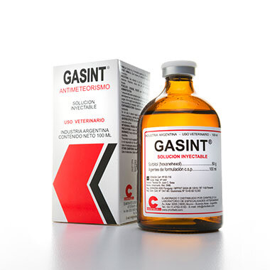 Gasint Iny. X 100 Ml (Sorbitol) - Chinfield