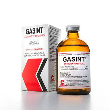 Gasint Iny. X 100 Ml (Sorbitol) - Chinfield