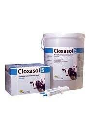 Cloxasol S X Jeringa - Von Franken