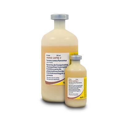Parvo Lepto 7 X 10 Ds- Zoetis