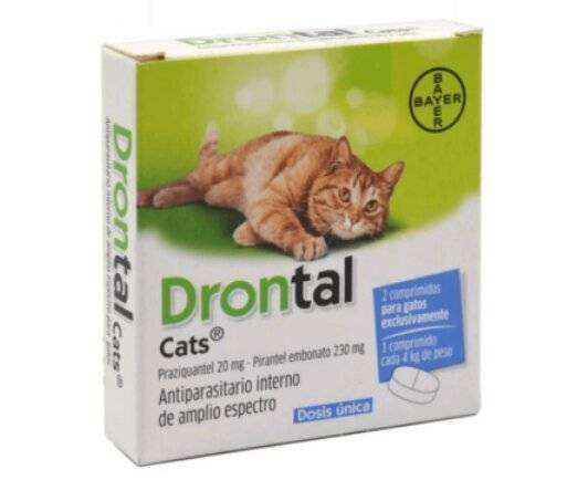 Drontal Gatos X 2 Comp - Elanco
