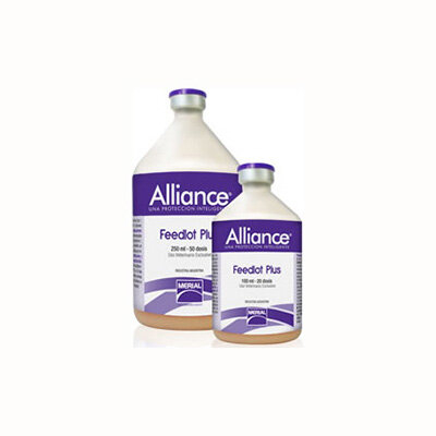 Feedlot Plus Alliance X 50 Ds (Rinotraqueítis, Queratoconjuntivitis, Mancha)  - Boehringer