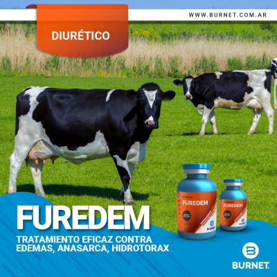 Furedem X 25 Ml (Furosemida) - Burnet