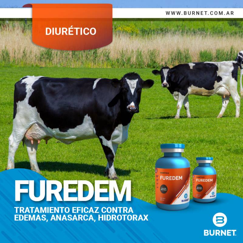 Furedem X 25 Ml (Furosemida) - Burnet