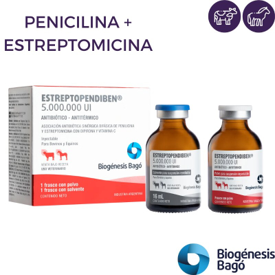 Estreptopendiben 5 Millones - Bago