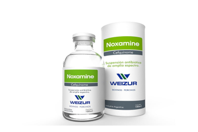 Noxamine X 100 Ml (Cefquinome) - Weizur