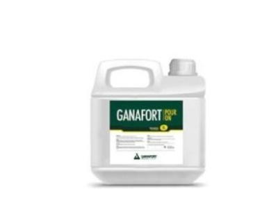 Fort Pour On X 5 Lts - Ganafort