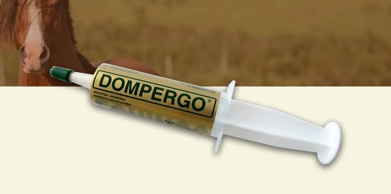 Dompergo Domperidona Jeringa 40Ml - Fundacion