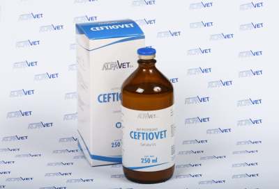 Ceftiovet X 100Ml  (Ceftiofur)- Alfavet