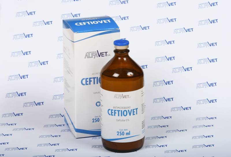 Ceftiovet X 100Ml  (Ceftiofur)- Alfavet