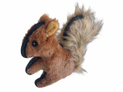 Ardilla Con Chifle Peluda