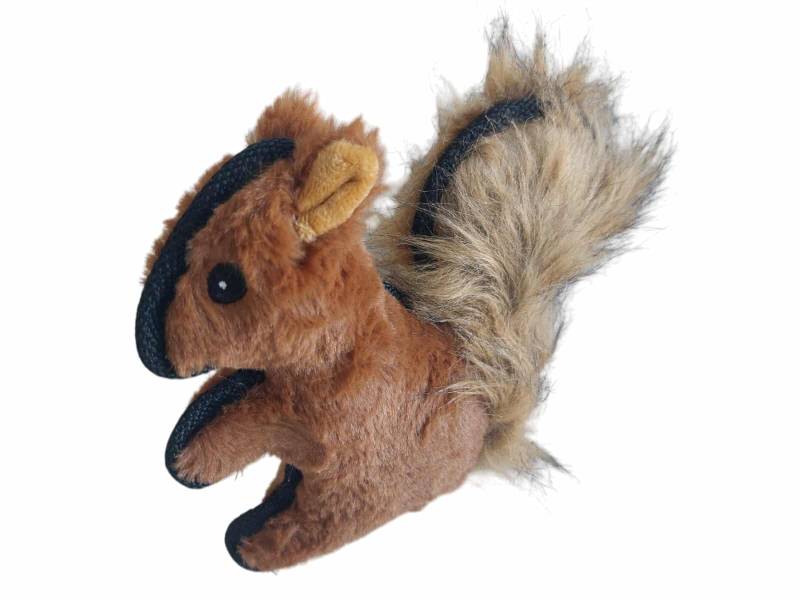 Ardilla Con Chifle Peluda