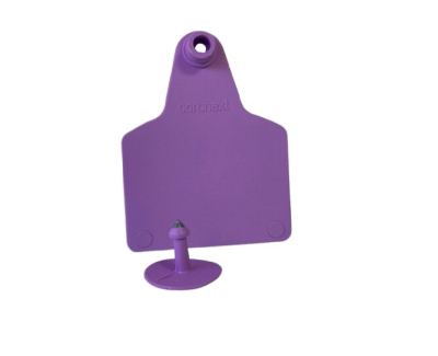Caravana Maxi Violeta S/N X 25 U.- Caranext