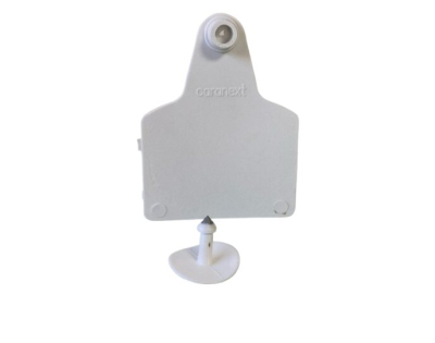 Caravana Maxi Blanca S/N X 25 U - Caranext