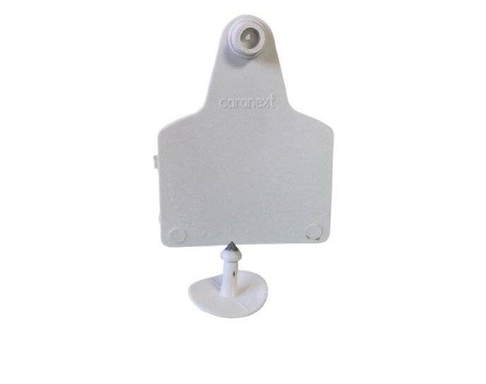Caravana Maxi Blanca S/N X 25 U - Caranext