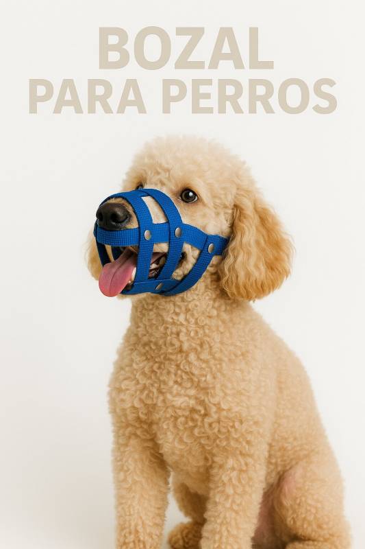 Bozal Canasta Perro N3