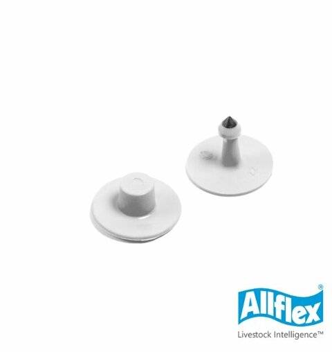 Caravana Boton Blanca Lisa - Allflex  - 25 Unidades
