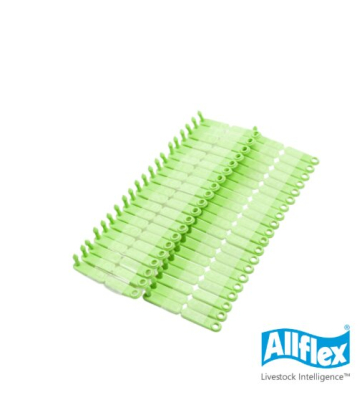Caravana Tip Tag Verde Lisa - Allflex - 100 Unidades
