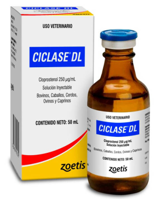 Ciclase Dl X 100Ml-Zoetis