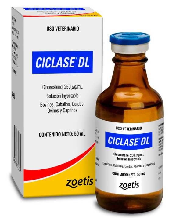 Ciclase Dl X 100Ml-Zoetis