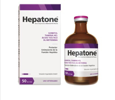 Hepatone Large 250Ml (Sorbitol)- Richmond