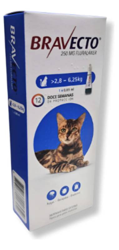 Pipeta Bravecto Gatos 2,8A6,25Kg -Msd