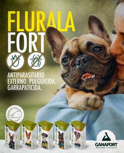 Flurala Fort Hosp. X Blister 4Comprimidos - Ganafort