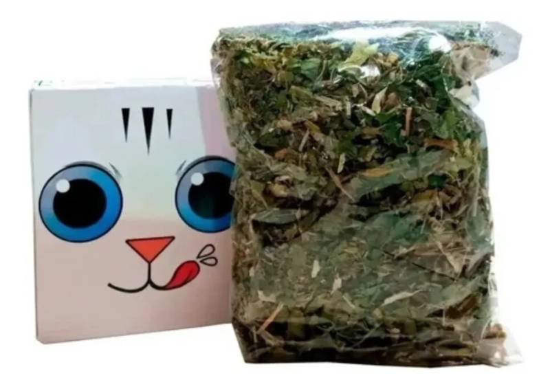 Catnip Deshidratado - Zootec