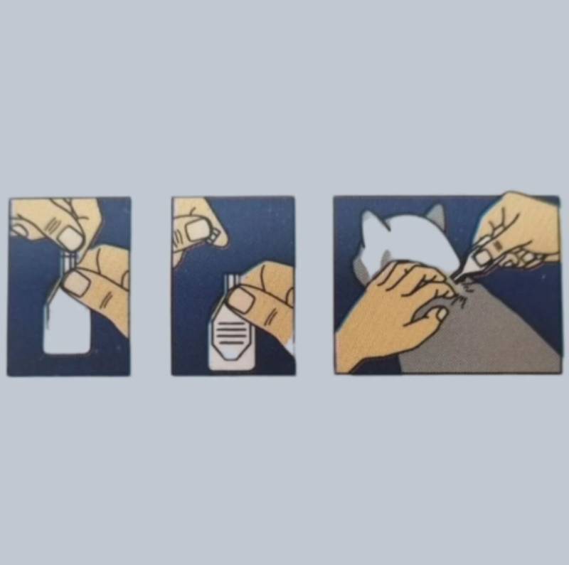 1763404342092.jpg