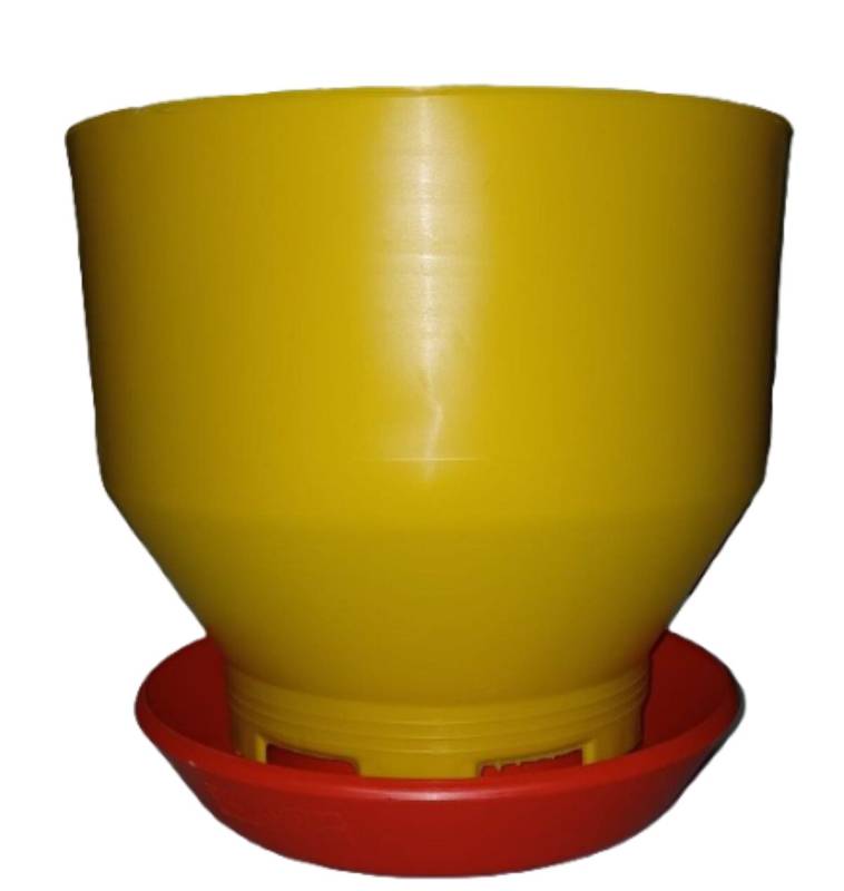 1764164068255.jpg