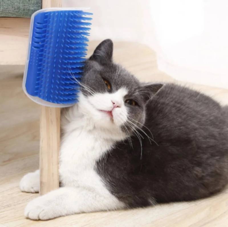 Cepillo Rascador Para Gatos - Accesorios Mascotas