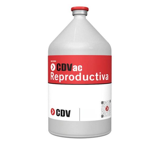 Cdvac Reproductiva Tradicional