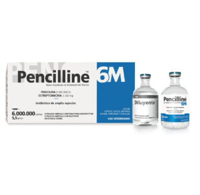 Penicilline 6M X Ampolla - Richmond