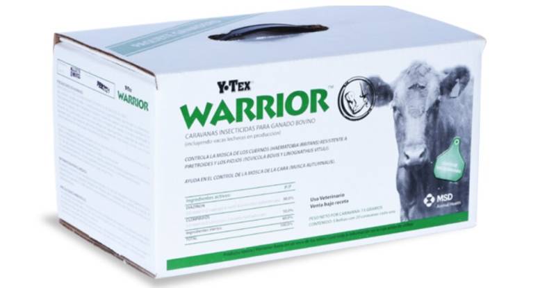Caravana Warrior X Unidad